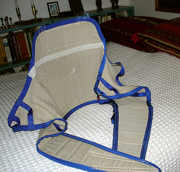 Lift harness with reinforced back and leg straps