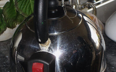 Water kettle with handle attached at both ends