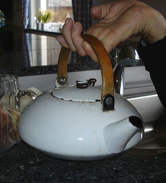 Teapot: user holds handle