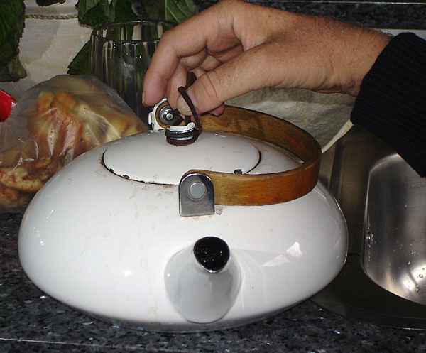 Teapot: user opens lid by placing thumb in leather loop