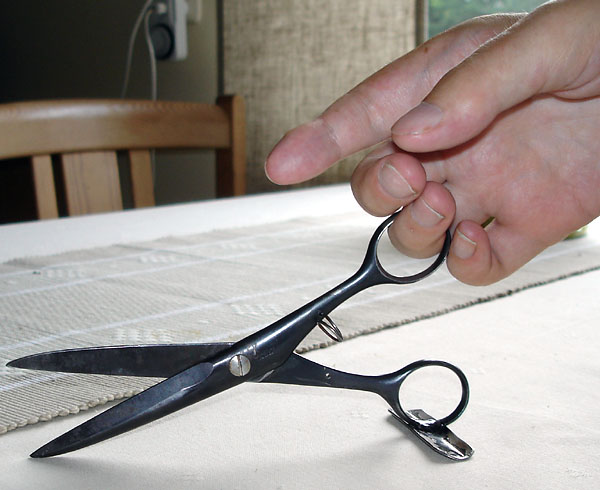 Scissors with table support, open