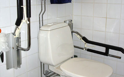 Elevated toilet seat