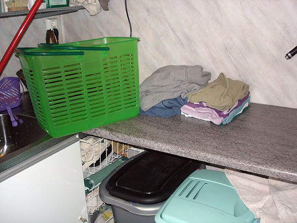 Counter in accessible laundry room