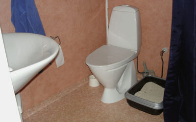 Toilet facilities with elevated toilet