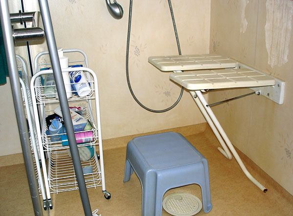 Wall-mounted shower stool