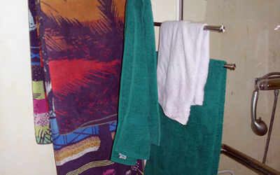 Towel rack with pivoting arms
