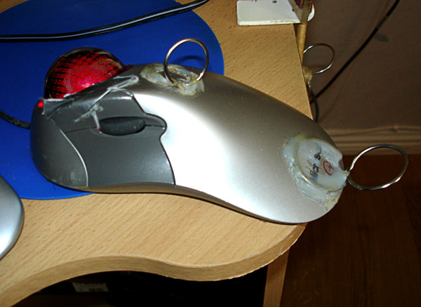 Adapted mouse