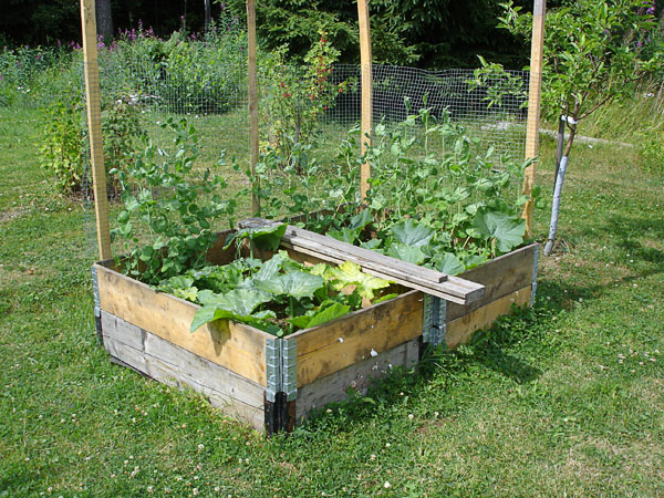 Raised beds made from pallet collars