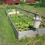 Watering accessible raised beds