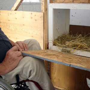 Accessible chicken house