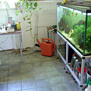 Accessible bathroom with aquarium