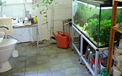 Tillgängligt badrum med akvarium