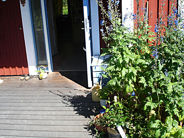 Entrance door and wooden deck outside