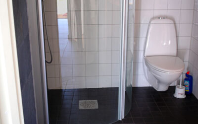 Guest bathroom with accessible shower stall