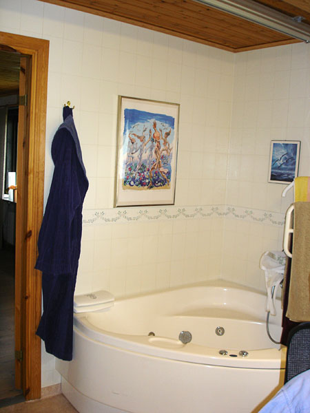 Bathroom in wheelchair accessible single-story home
