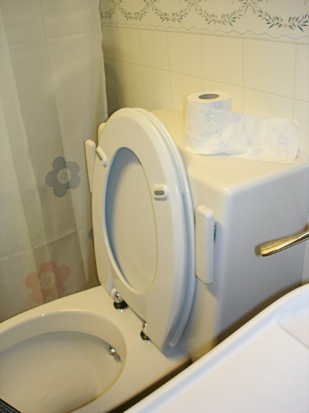 Toalett med tork- och duschfunktion