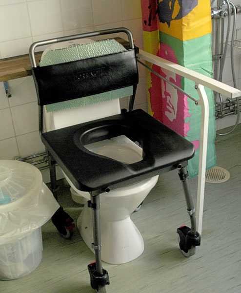Shower and toilet chair above toilet