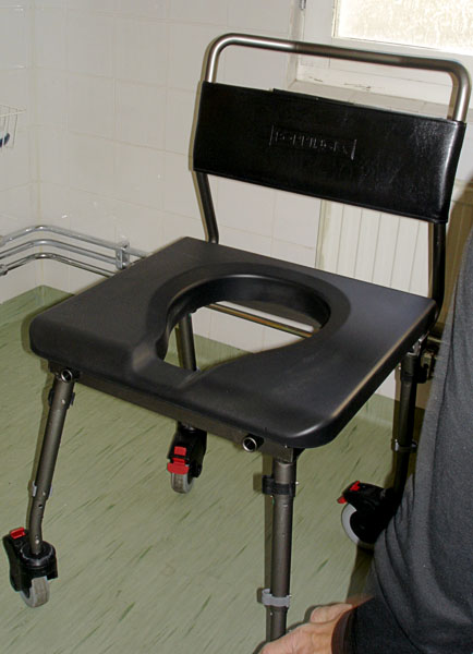 Shower and toilet chair