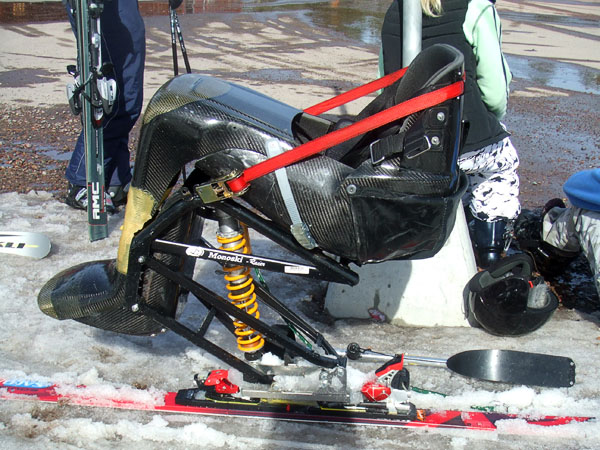 Sitskin med spännband för rygginställning. Foto: Ronny Persson