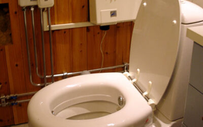 Toilet seat with flush function