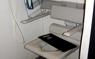 Wall-mounted shower stool with armrest