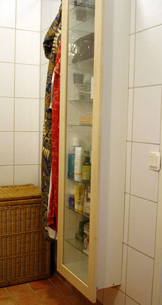 Wall-mounted bathroom cabinet
