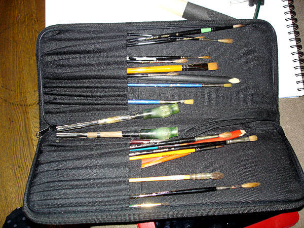 A case with different brushes for mouth painting