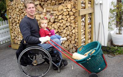 Basket on wheels for firewood