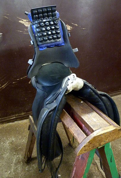 Saddle with custom-made back padded with foam cushion and Roho adapter