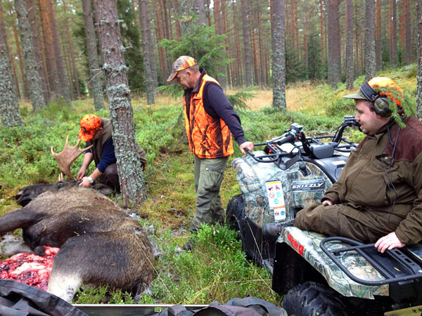 Hunting with a quad bike. Photo from www.rullarnas.se