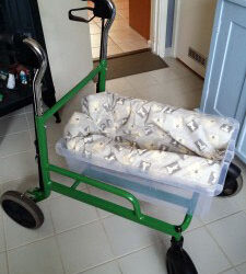 Combined rollator and crib