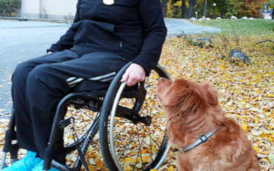 Hållare för hundkoppel på rullstolens fotbåge